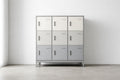 Metal Locker Cabinet with Nine Doors White/Gray